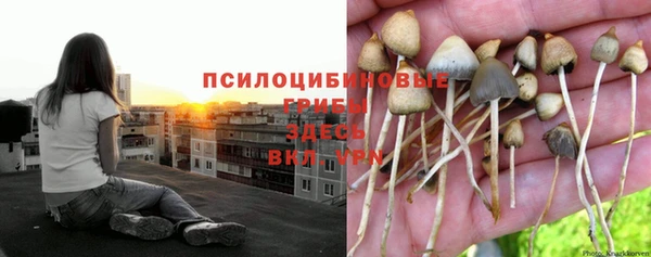 каннабис Балабаново