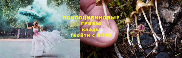 амф Нязепетровск