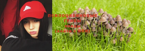 apvp Баксан