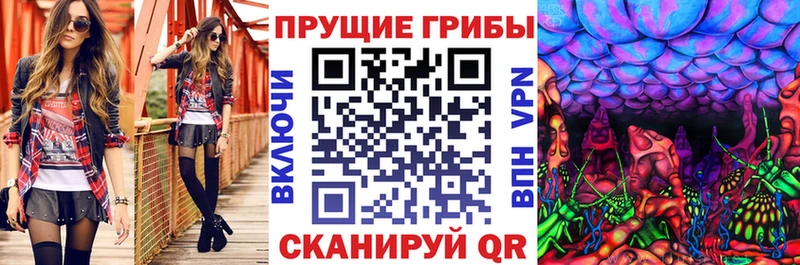 MEGA ССЫЛКА  как найти наркотики  Красный Сулин  Псилоцибиновые грибы Psilocybe 